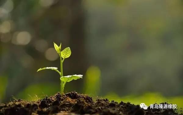 <b>這個植樹節，你種樹了（le）嗎？</b>