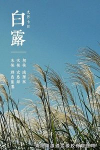 <b>露從（cóng）今夜白，夜自此日（rì）涼！</b>